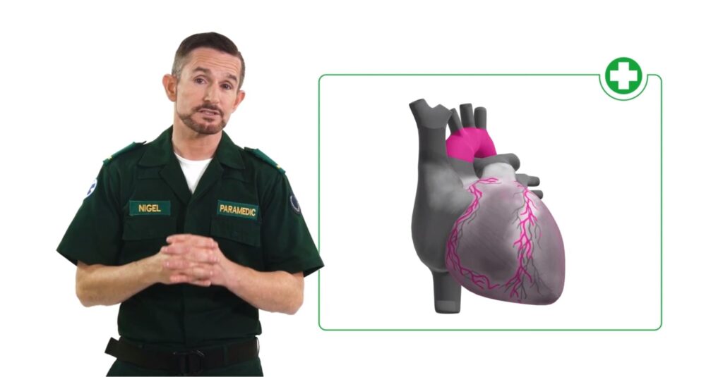 Trainer talking beside a graphical image of the heart