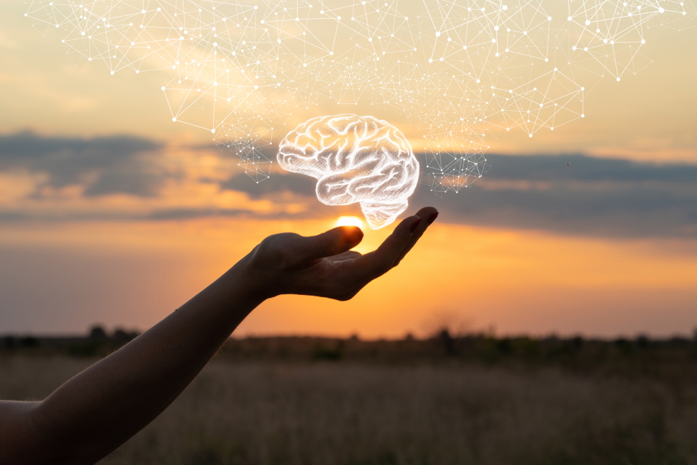 First Aid for Mental Health - Photo shows a hand cupping an illustration of the brain with the sun and sky in the background.